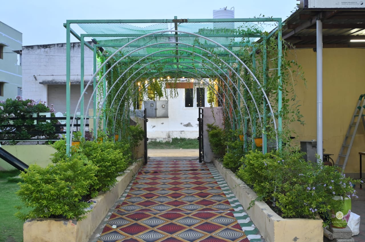 Green vine tunnel walkway at dusk