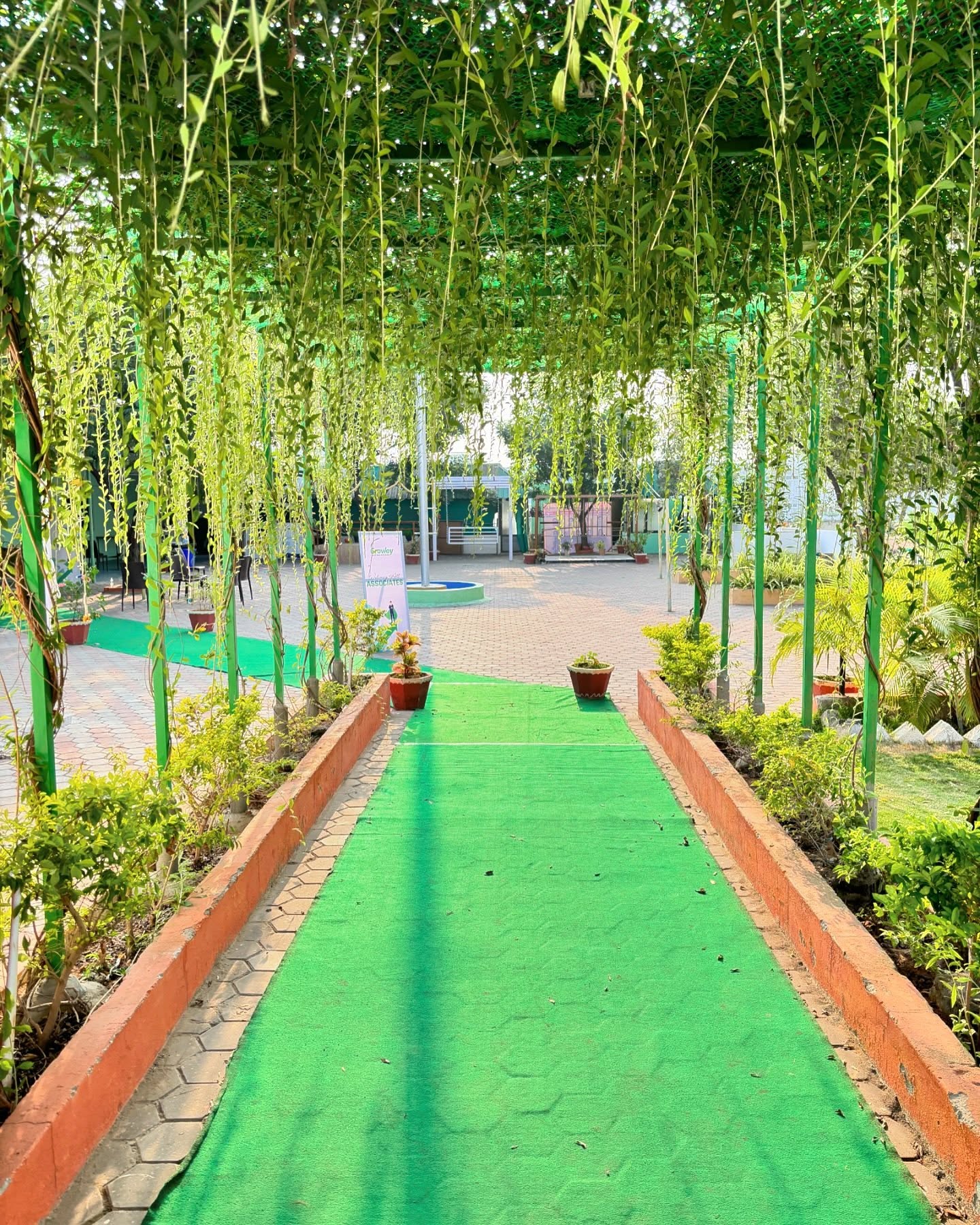 Hanging vine walkway with green carpet runner